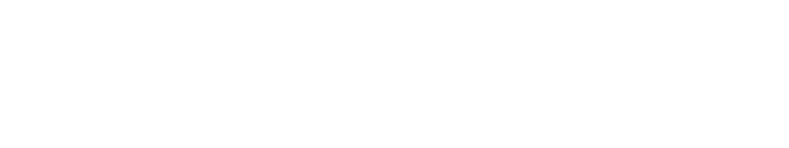 richy-management-logo