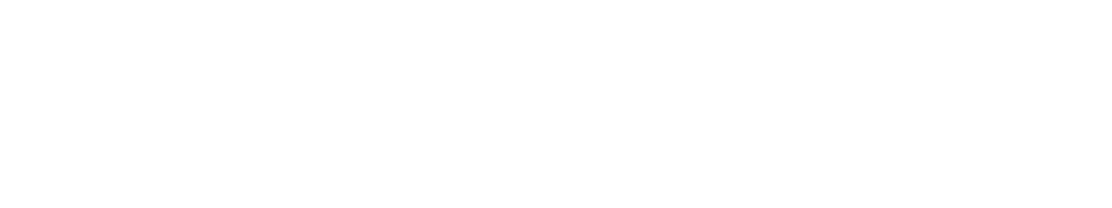 richy-management-logo